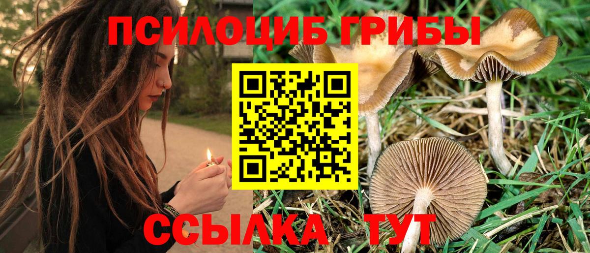 Псилоцибиновые грибы прущие грибы Алексеевка